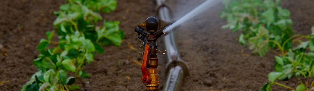 irrigation-slide